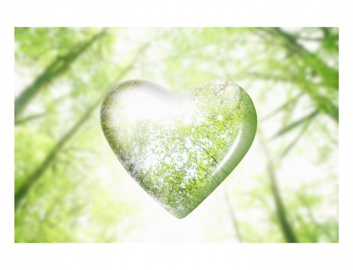 Märchen der inneren Welt