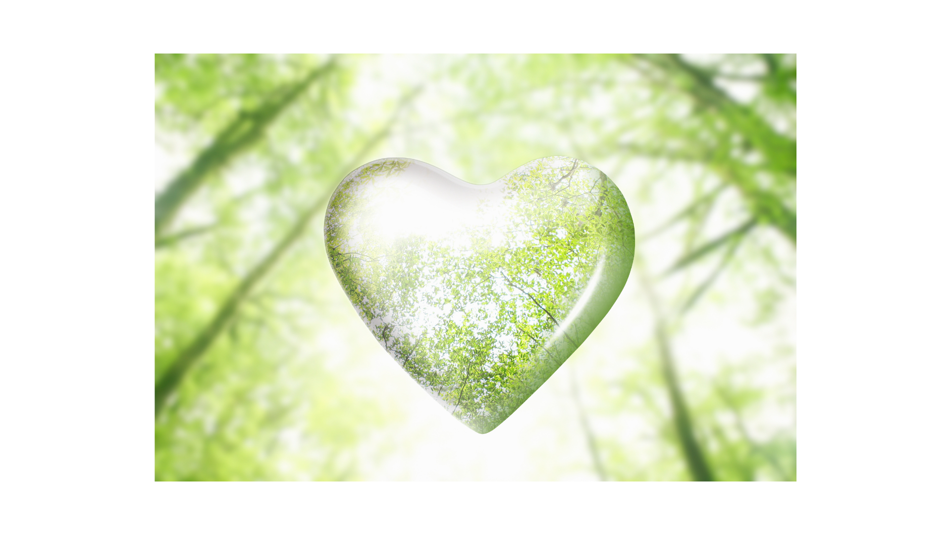 grünes Herz mit Licht durchflutet